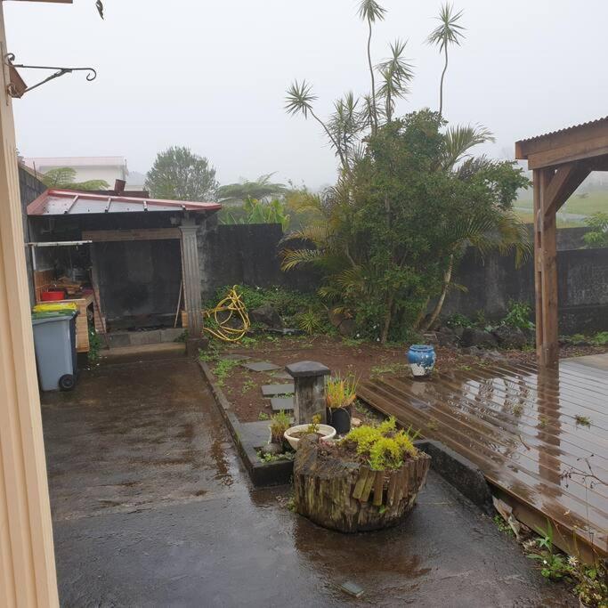 Location saisonnière semaine et/ou week-end Appartamento La Plaine-des-Palmistes Esterno foto